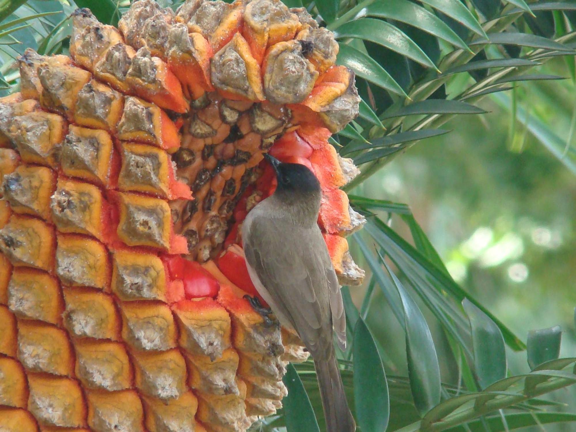 Leopard Corner Lodge St Lucia Bagian luar foto