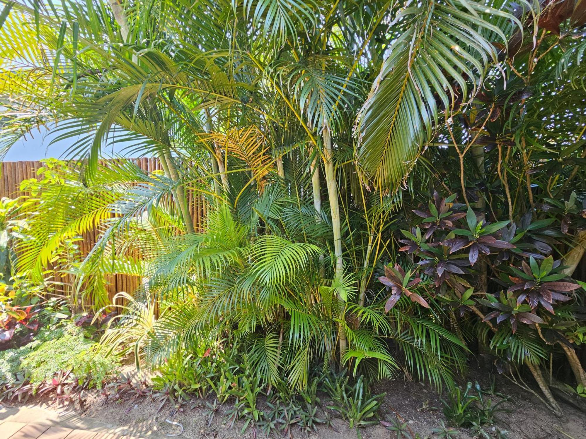 Leopard Corner Lodge St Lucia Bagian luar foto