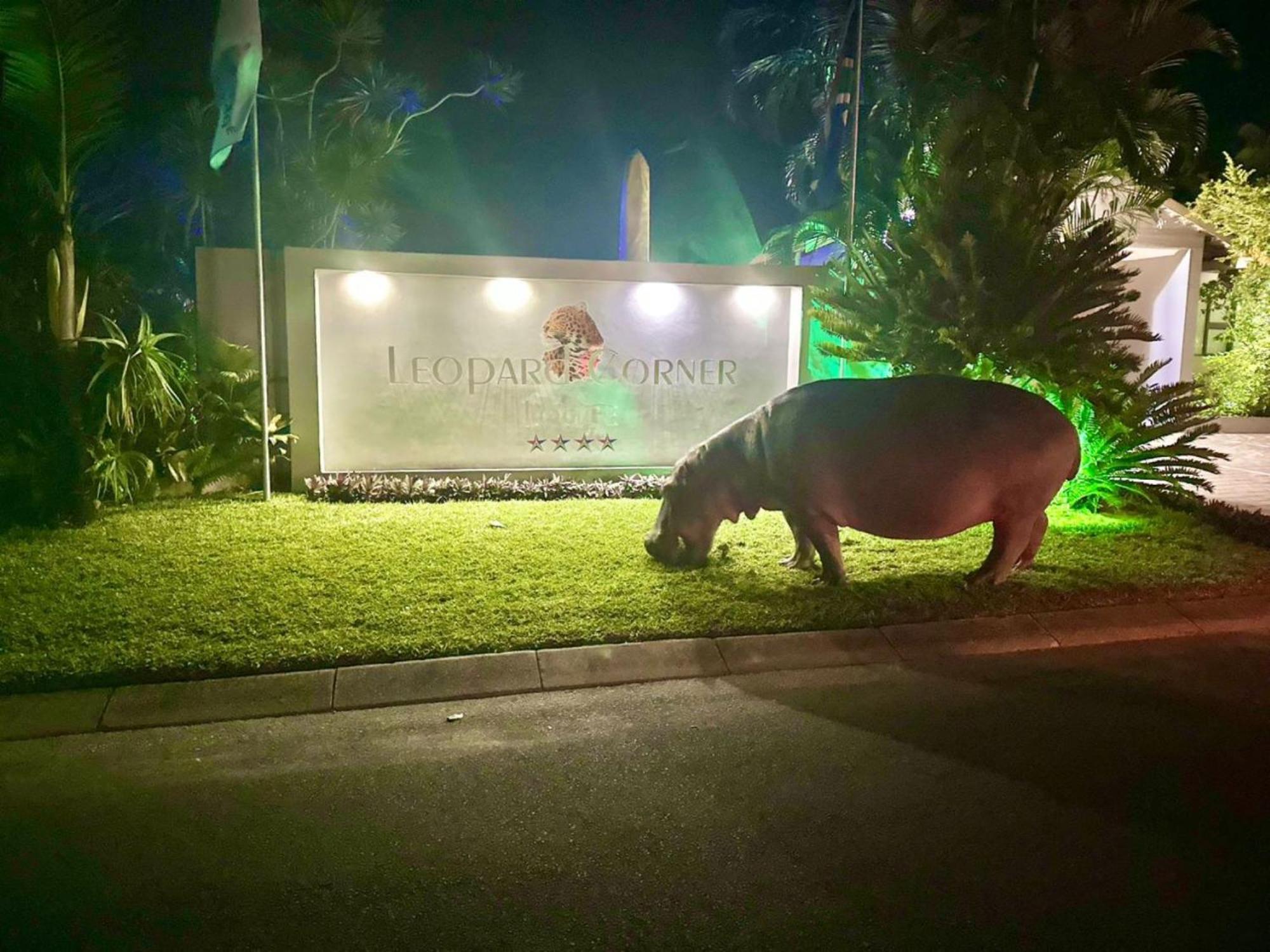 Leopard Corner Lodge St Lucia Bagian luar foto